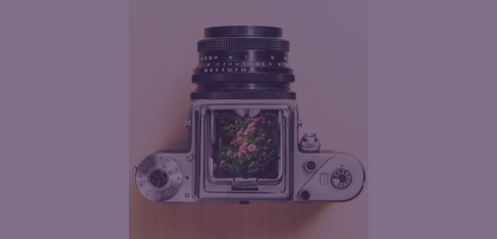 Kamera mit Blumenbild